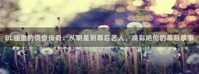 万事娱乐：BL圈里的偶像传奇：从明星到幕后艺人，精彩绝伦的幕后故事