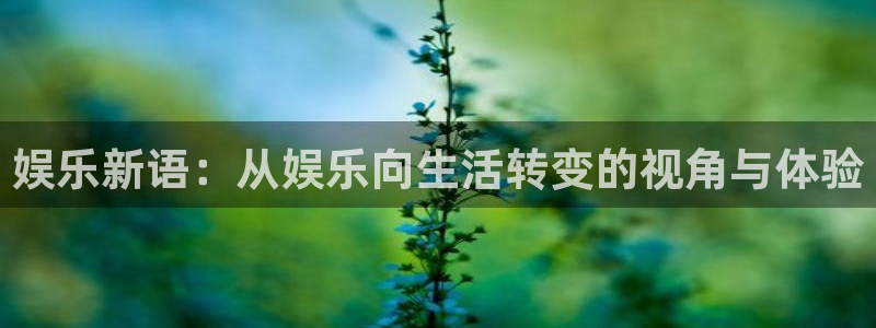 万事娱乐登录：娱乐新语：从娱乐向生活转变的视角与体验