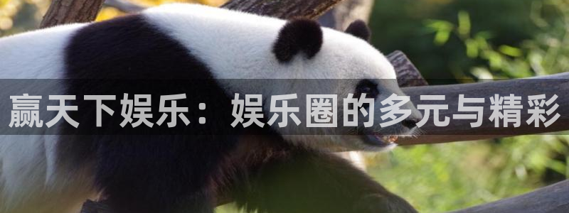 万事娱乐登录地址：赢天下娱乐：娱乐圈的多元与精彩