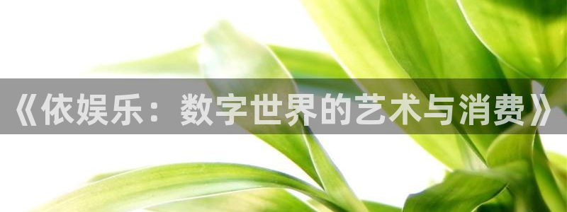 万事娱乐：《依娱乐：数字世界的艺术与消费》