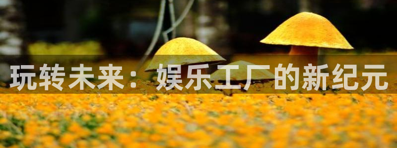 万事娱乐登录地址：玩转未来：娱乐工厂的新纪元