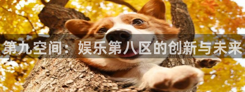 万事娱乐登录地址：第九空间：娱乐第八区的创新与未来