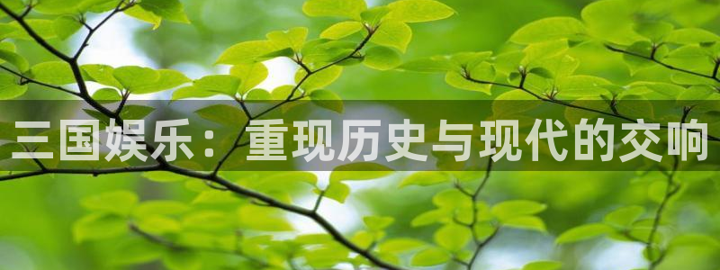 万事娱乐登录：三国娱乐：重现历史与现代的交响